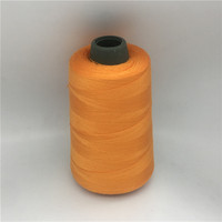 Fil à coudre 100% polyester filé 40s/2 60s/2 18tex Tkt180 pour machine à coudre, couleurs personnalisées, pour interlock et surjet, idéal pour les robes