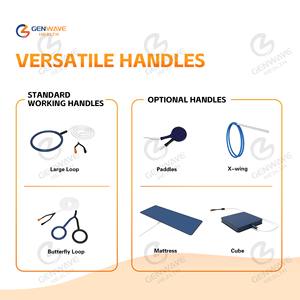 Pemf perangkat Terapi magnetik, mesin Terapi magnetik masalah otot hewan kuda PMST LOOP Physio magnet kuda - Product Image 3