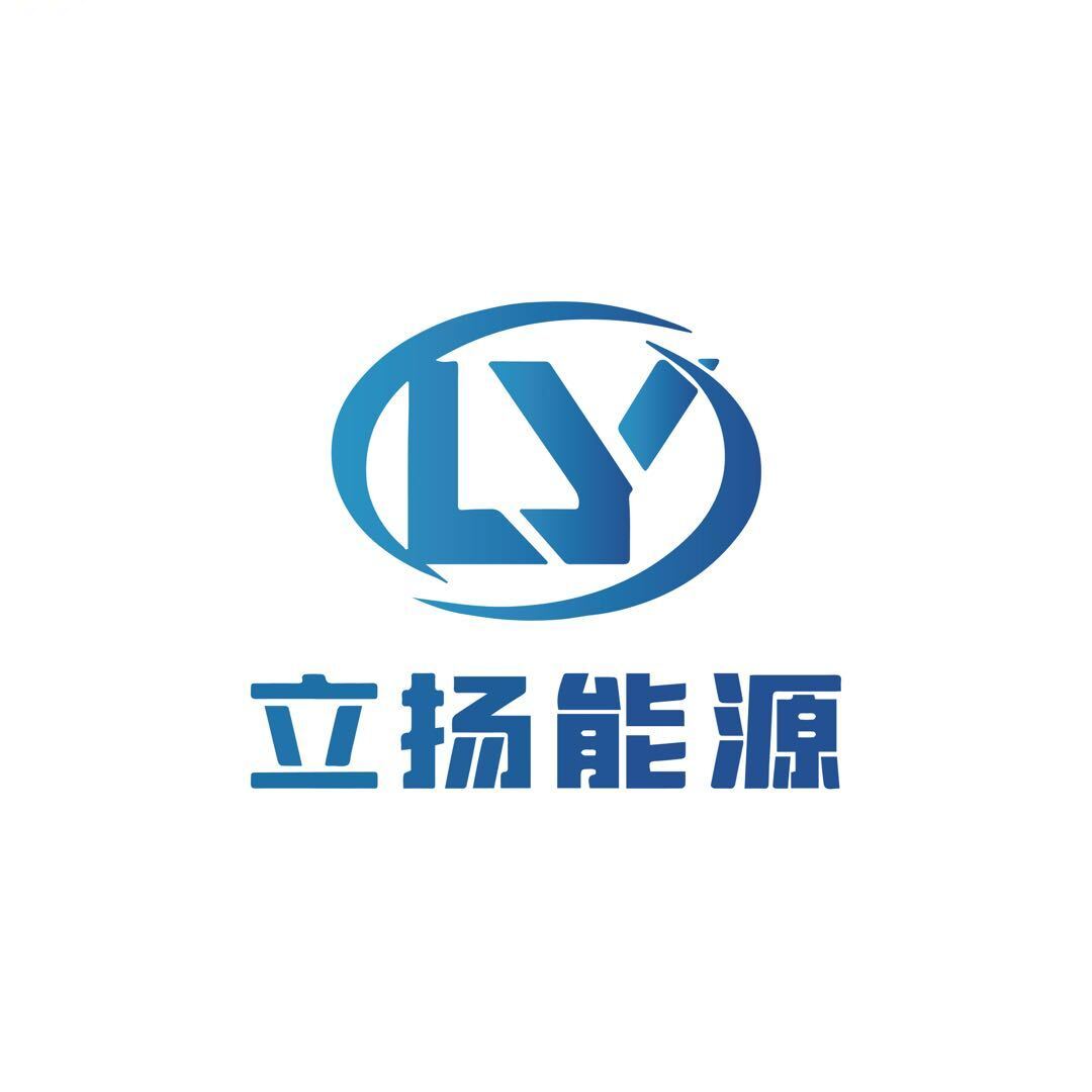 Wuhan Liyang Energy Technology Co., Ltd.