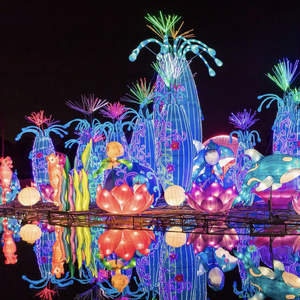 ไฟวันหยุดใหญ่โคมไฟ<span class=keywords><strong>สวน</strong></span>สัตว์กลางแจ้งแสดงผลสวนพฤกษศาสตร์ไฟวันหยุดผู้ผลิตออกแบบได้ตามต้องการ - Product Image 5