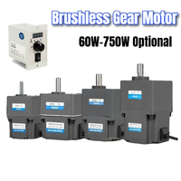 Controlador de Motor de Engranajes Sin Escobillas PLC, CA 220V, Alto Torque, Baja Velocidad, Venta al Por Mayor
