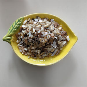 Revêtement de sol en terrazzo en pierre naturelle, écologique, non toxique, copeaux de coquillages concassés, <span class=keywords><strong>gravier</strong></span> de qualité supérieure, pierre concassée pour jardin, parc - Product Image 3