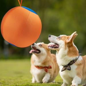 Jouets interactifs pour chiens avec sangles, pour chiens de berger australiens, chiens de bétail, chiens collie, balles pour le jeu des chiens - Product Image 4