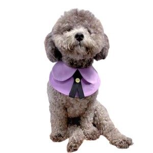 Bavoirs populaires pour animaux de compagnie, écharpes pour chats violettes, style uniforme scolaire thaïlandais, bavoirs mignons pour chiens, style Instagram-worthy. - Product Image 5