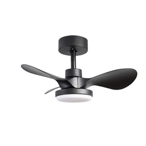 24-inch ABS-Blade <b>Ceiling</b> Fan <b>Light</b> with <b>Remote</b> <b>Control</b>, LED <b>Ceiling</b> Fan, Decorative <b>Ceiling</b> Fan with <b>Light</b> - Product Image 1