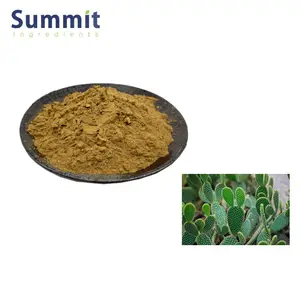 Factory Supply 100% Natural Cactus Extract Powder 10:1