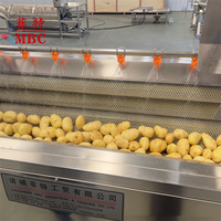 Op maat gemaakte industriële frietmachines van roestvrij staal 304, productielijn voor gebakken aardappelchips en snacks