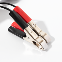 L'usine fournit un chargeur 12V/24V Dc Abs + Pvc 5A, un fil de serrage automatique avec un Clip crokodil et une tête En cuivre