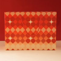 Sac de shopping en papier rouge de luxe personnalisé avec logo imprimé, résistant à l'humidité, avec poignée en corde, recyclable, emballage cadeau pour vêtements