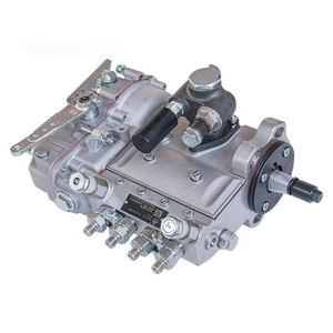 D7002-1111100A-493 B4A71D 191000-210001-10 Y4108 Bomba de Inyección de Combustible para Motor de Cargadora de Maquinaria China - Product Image 2