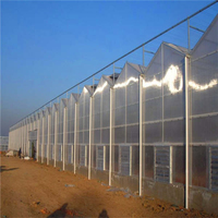 Serre agricole commerciale multi-chapelles en polycarbonate à haute transmission lumineuse (plus de 90%) et galvanisée à chaud pour la réduction de la consommation d'énergie