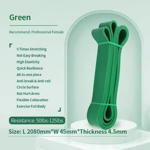 Bandas de Resistencia para Hacer Ejercicio, Bandas de Asistencia para Dominadas, Bandas de Ejercicio de Nivel Superior con Bolsa para Entrenamientos en Casa - Product Image 5