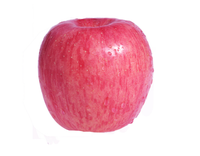 China's Nieuwe crop Top grade Verse Rode Fuji apple vruchten Leveren alle het jaar ronde