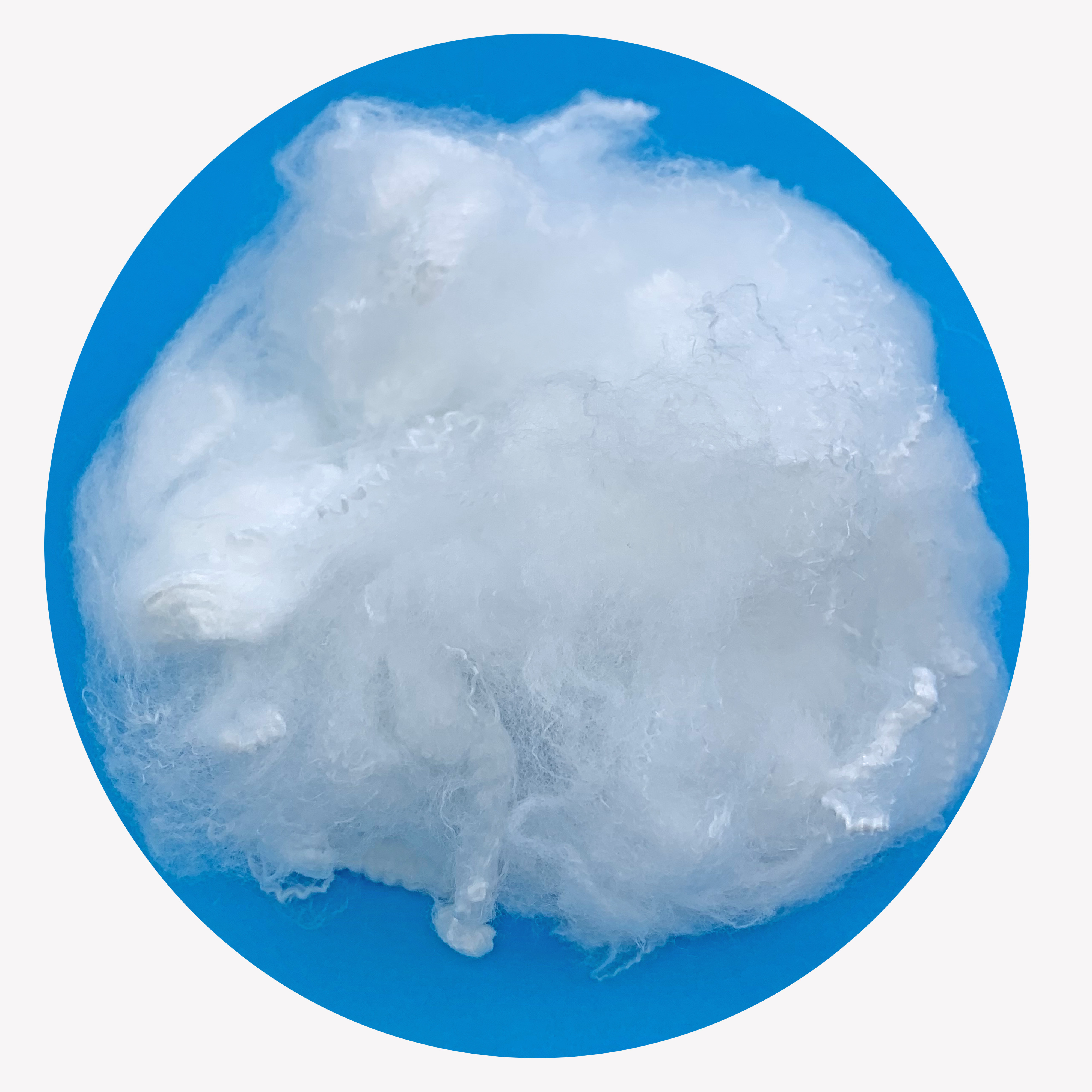 boehmeria fibers price