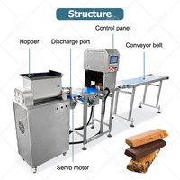 Productielijn voor ORME chocolade-gecoate fruit-cereal-dadelrepen, inclusief proteïne-repen extruder en snijmachine