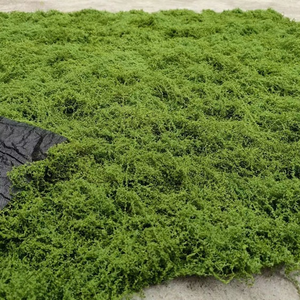 Planta <span class=keywords><strong>verde</strong></span> simulada y decoración de pared de ventana de musgo flores planas suaves conservadas y <span class=keywords><strong>espacio</strong></span> <span class=keywords><strong>verde</strong></span> de musgo de césped artificial - Product Image 3