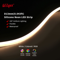 Néon LED extérieur résistant aux UV, anti-jaunissement, en silicone, protection IP65, 12V/24V, dimmable, pour sculpture extérieure permanente