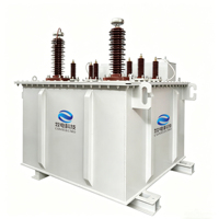 Transformador de excitación sumergido en aceite para pruebas eléctricas, unidad elevadora dedicada, voltaje ajustable, alta precisión, IP55, 1 año de garantía
