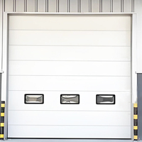 Porte de garage sectionnelle industrielle en acier avec fenêtre et lumière naturelle pour cour