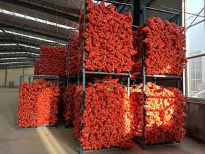 Tươi mới hành tây Giá 1kg cho kuwait thị trường hẹ cung cấp ở Sơn Đông giá bán buôn Vàng hành tây đỏ tươi - Product Image 5