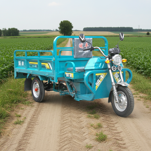 Tricycle Électrique Motorisé WF1500DZH pour Adulte 70 KM Moto à <span class=keywords><strong>Trois</strong></span> Roues en Stock - Product Image 1