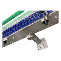 Convoyeurs à chaîne à palette motorisés pour lignes de peinture, avec surface de roulement plane, sur mesure, pour l'exportation