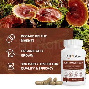 Chtnature Private Label Biologische <span class=keywords><strong>Ganoderma</strong></span> Lucidum Extract Poeder Reishi Champignoncapsules - Product Image 5