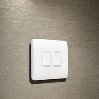 Grid Series NO BATTERY NO WIRE G1 UK STAND RF433 Interrupteur cinétique sans fil 2 touches Interrupteur cinétique étanche pour lumière/maison intelligente