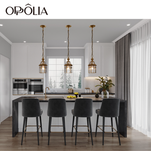 OPPOLIA وحدات بسيطة شاكر نمط كلوريد متعدد الفينيل العصري خزائن المطبخ - Product Image 2