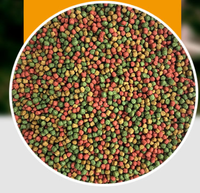 Ligne de production complète d'aliments pour animaux de compagnie Machine pour produire des aliments pour poissons Machine pour fabriquer des aliments pour animaux ou poissons