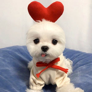 Sudadera con capucha Shine And Shine para perros con gorro de corazón, para perros pequeños y medianos, ropa cómoda para mascotas para todas las estaciones, estilo festivo - Product Image 3