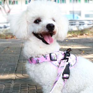 Conjunto de arnés y correa para perro con estampado Floral de lujo, chaleco de poliéster a la moda para Teddy Bichon, equipo para caminar al aire libre, conjunto al por mayor - Product Image 2