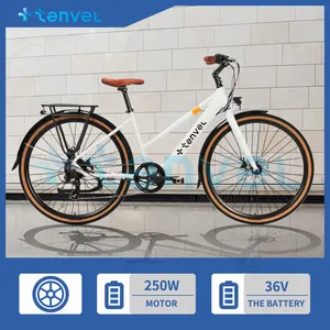 Factory New Arrival 26 Inch City Electric MTB Road Bike 250W Motor Green Power Alloy Electric Bike Bicycle