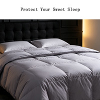 Couette matelassée extra chaude en duvet de canard, taille Queen, pour l'hiver et le temps froid, hypoallergénique, épaisse, pour hôtels et zones nordiques