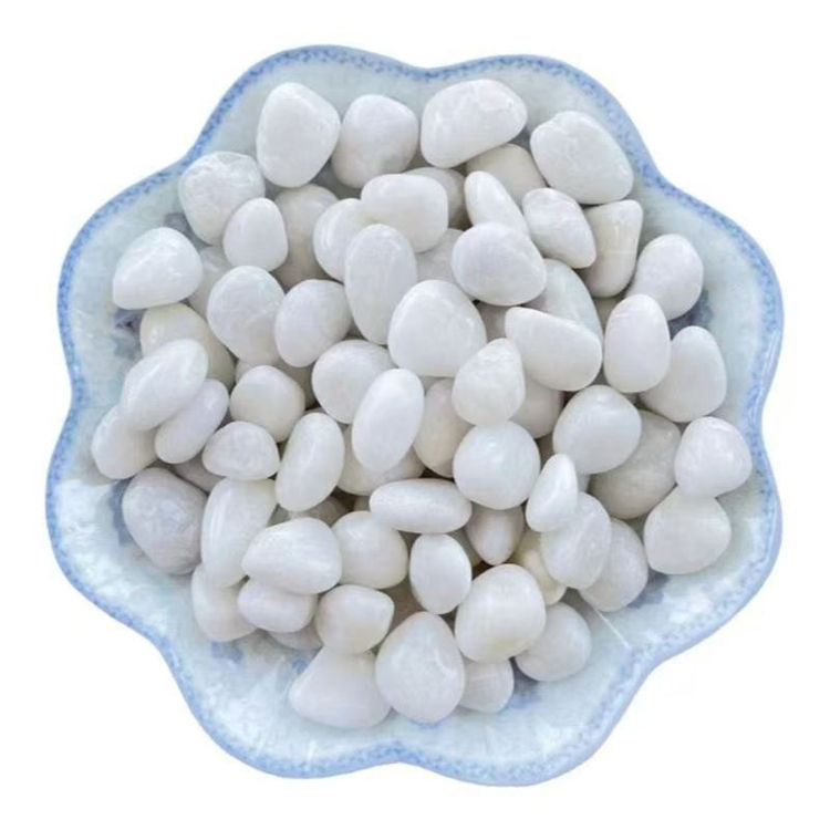 1 pounds of white hand-selected 1-2 cm