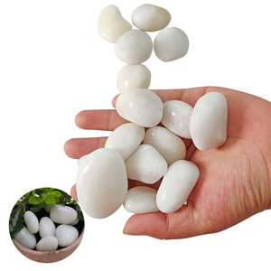 Milieuvriendelijk Natuursteen Wit Gepolijste Kasseien & Kiezels Voor Duurzame Landschapsarchitectuur & Park Groene Projecten - Product Image 4