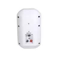 Haut-parleur mural Bluetooth étanche pour extérieur avec amplificateur de classe D intégré pour système audio et musique d'ambiance commercial