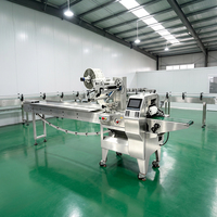 Machine d'emballage automatique horizontale SZ-180 pour sachets oreillers, production industrielle, spécifications multiples, pour l'emballage de donuts