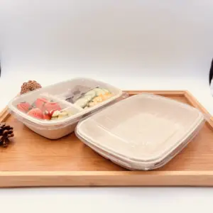 Disposable Paper Pulp Food Container Freezer & Microwave Safe Greaseproof Bagasse Biodegradable Food Container