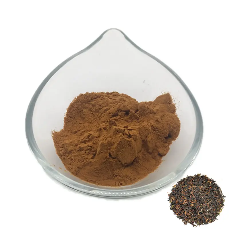 Pure Black Tea Powder Hotsale ISO Factory Natural Black Tea Powder Extract