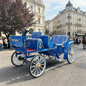 Élégante carrosse de parade électrique de style princesse pour location événementielle, mariages et événements touristiques - Product Image 6