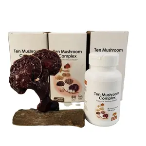 Medicine Gotobeauty OEM Chinese Medicine Herbs Multi Mixed Mushroom Powder With Reishi Ling Zhi Herbal Supplements Manufacturer