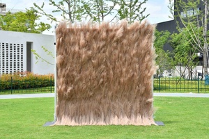 KEWEI T059 Event Hintergrund Künstliche Pampa Gras Wand Seide Kaffee Pampa Gras Roll Up Stage Hintergrund - Product Image 3