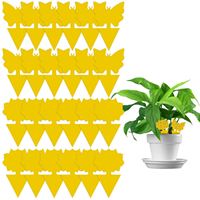 Gele kleverige fruitvlieg- en muggenval 12/24/48 stuks vliegende insecten- en muggenvanger voor binnenplanten