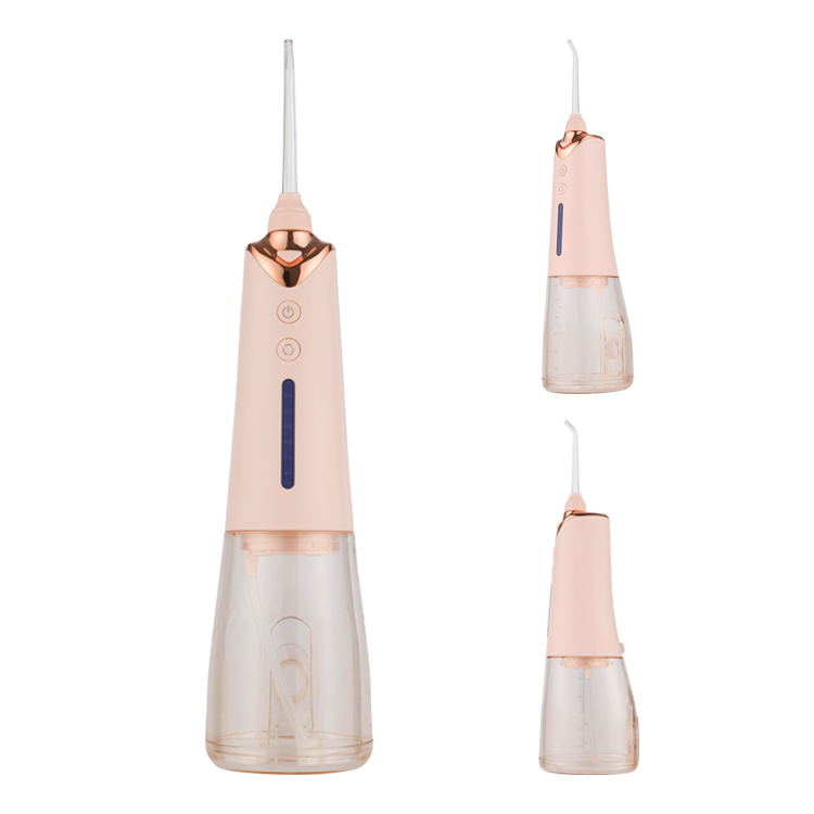 Irrigateur Oral USB Rechargeable L'eau Flosser Dentaire de Jet D'eau 300ml