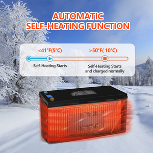 Baterías de iones de litio LiFePO4 desmontables y recargables de 12V 24V 100Ah 200Ah para carritos de golf en EE. UU. - Paquete de baterías TE12100 Deta - Product Image 3