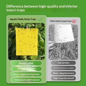 Tabla adhesiva amarilla no tóxica para control de plagas, fácil de colgar para huertos de verduras en invernaderos - Product Image 3