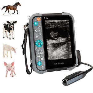 Hoogwaardig draagbaar 2D veterinaire echografie systeem met meerdere probes, milieuvriendelijk - Product Image 1