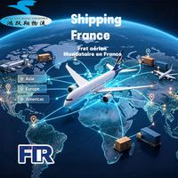 Agente de envío Francia Flete aéreo Marsella Provenza Aeropuerto Servicios de almacén Agente de envío internacional