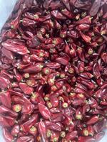 Chile Bullet Entero Seco Natural sin Aditivos con SHU Personalizado y Empaque para Exportación